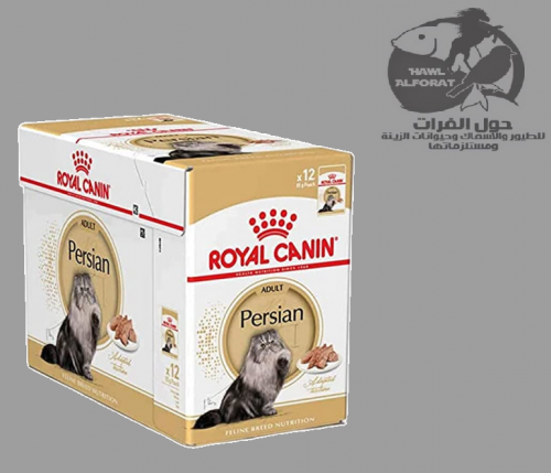 رويال كنن للقطط الفارسية 85gX12
