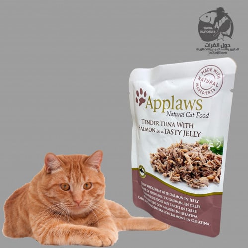 ابلاوز تونا و السالمون في الجلي - حول الفرات