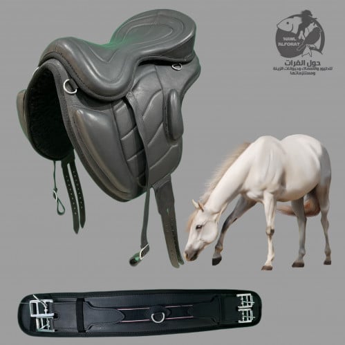سرج جلد وحزام بطن  وسير ركابة - حول الفرات