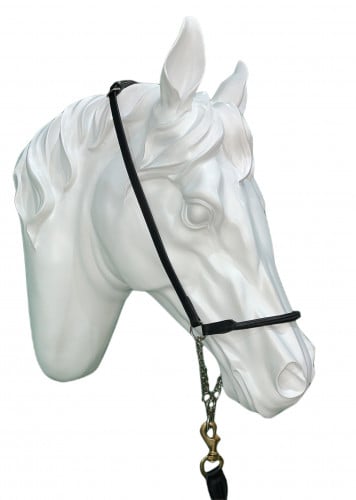 رشمة تدريب جمال - حول الفرات