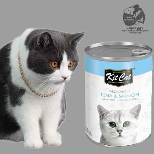 كت كات تونا مع السلمون 400g