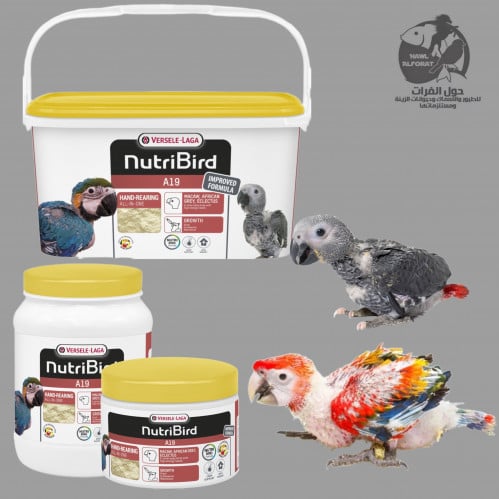 فيرسلاغا طعام الببغاء A19