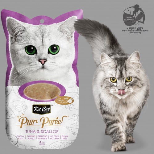 كت كات بور هريس التونة و المحار - حول الفرات