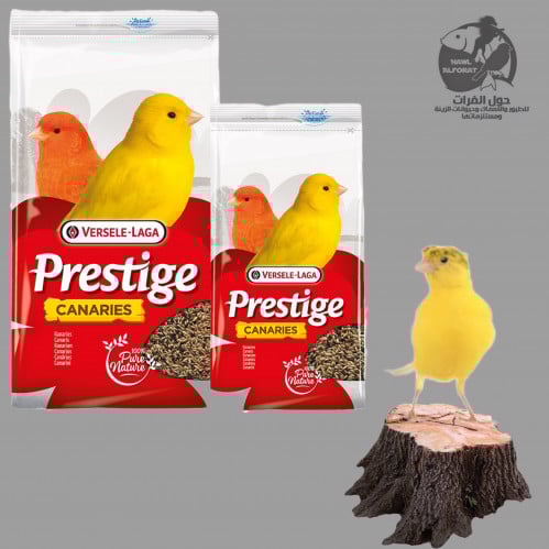 فيرسلاغا طعام كناري - حول الفرات