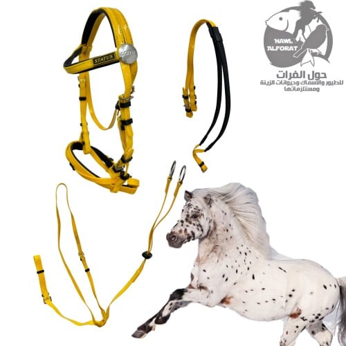 طقم لجام للخيل السيسي - حول الفرات