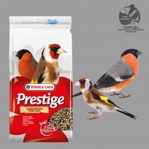 فيرسلاغا طعام الحسون الاوروبي - حول الفرات