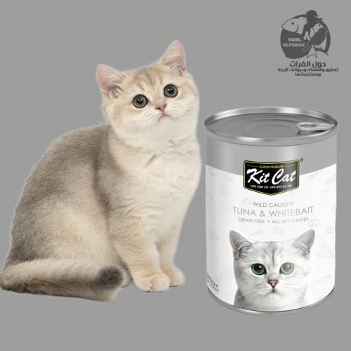 كت كات التونة مع صغار السمك 400g