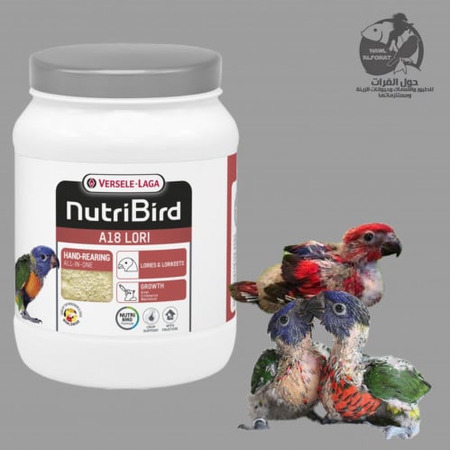 فيرسلاغا طعام اللوري - حول الفرات