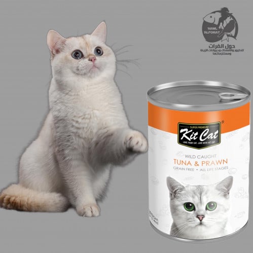 كت كات تونة مع جمبري - حول الفرات