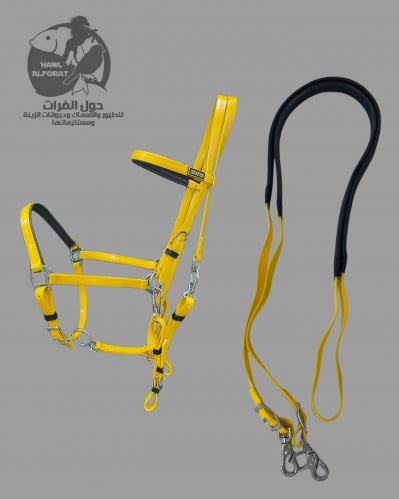 لجام ستيتس تحمل PVC - حول الفرات