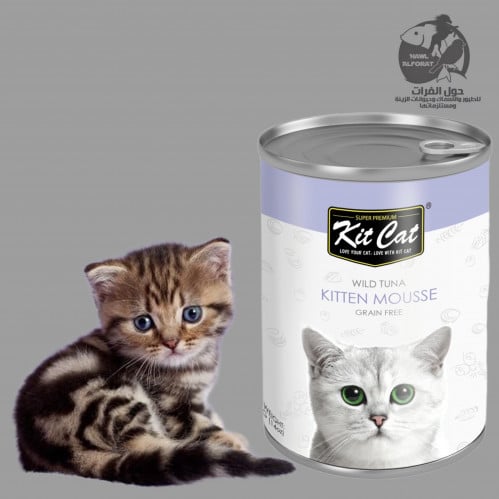 كت كات موسي كتن قطط صغيرة 400g