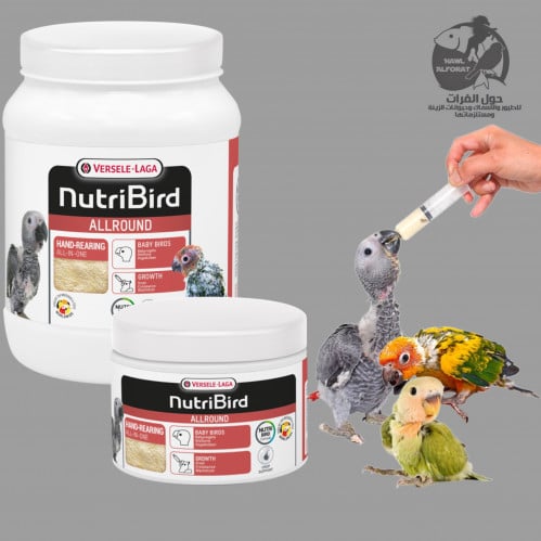 فيرسلاغا اكل فروخ جميع الانواع