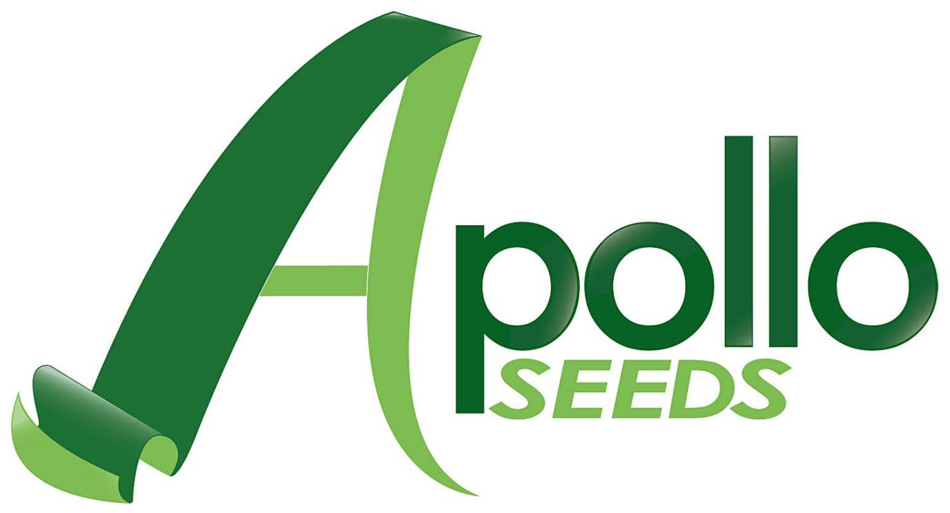 Apollo Seeds