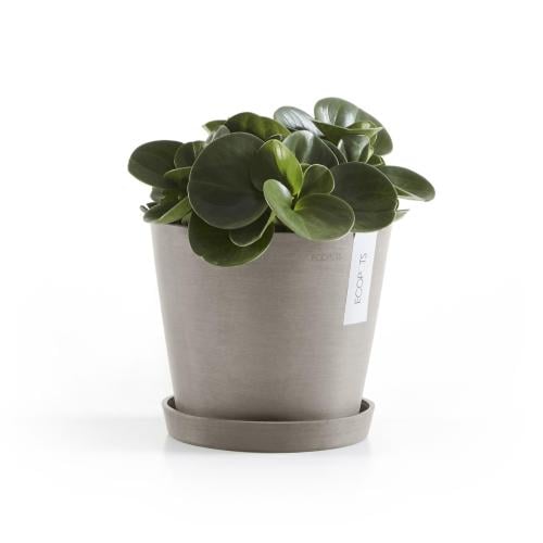 مركن ايكو بوت فايبر امستردام موديل ECOPOTS 20*17 -...