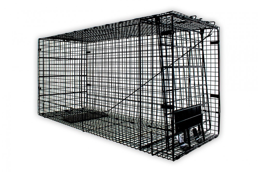 Dog 2024 trap cage