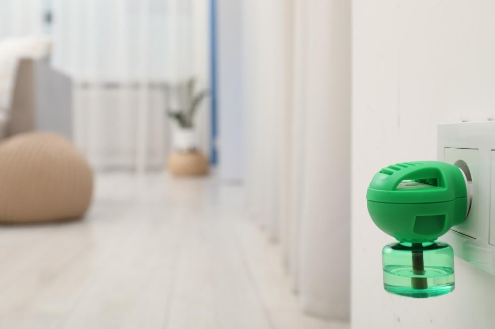 Mosquitoes in the House: 5 Steps That Cut Off Their Way