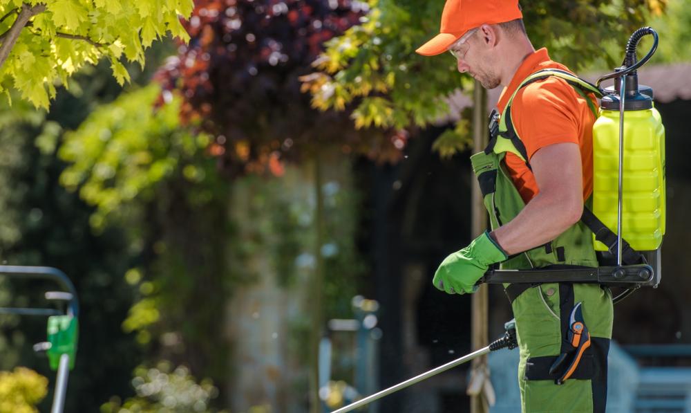 The Electric Agricultural Sprayer: Advantages and How to Choose the Right Capacity and Battery