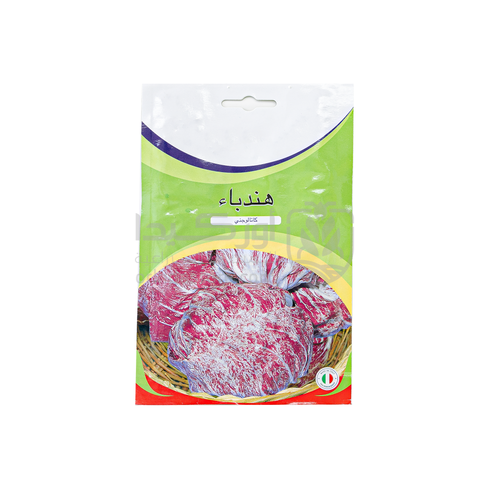 Chicory seeds (catalogeny) 10 g
