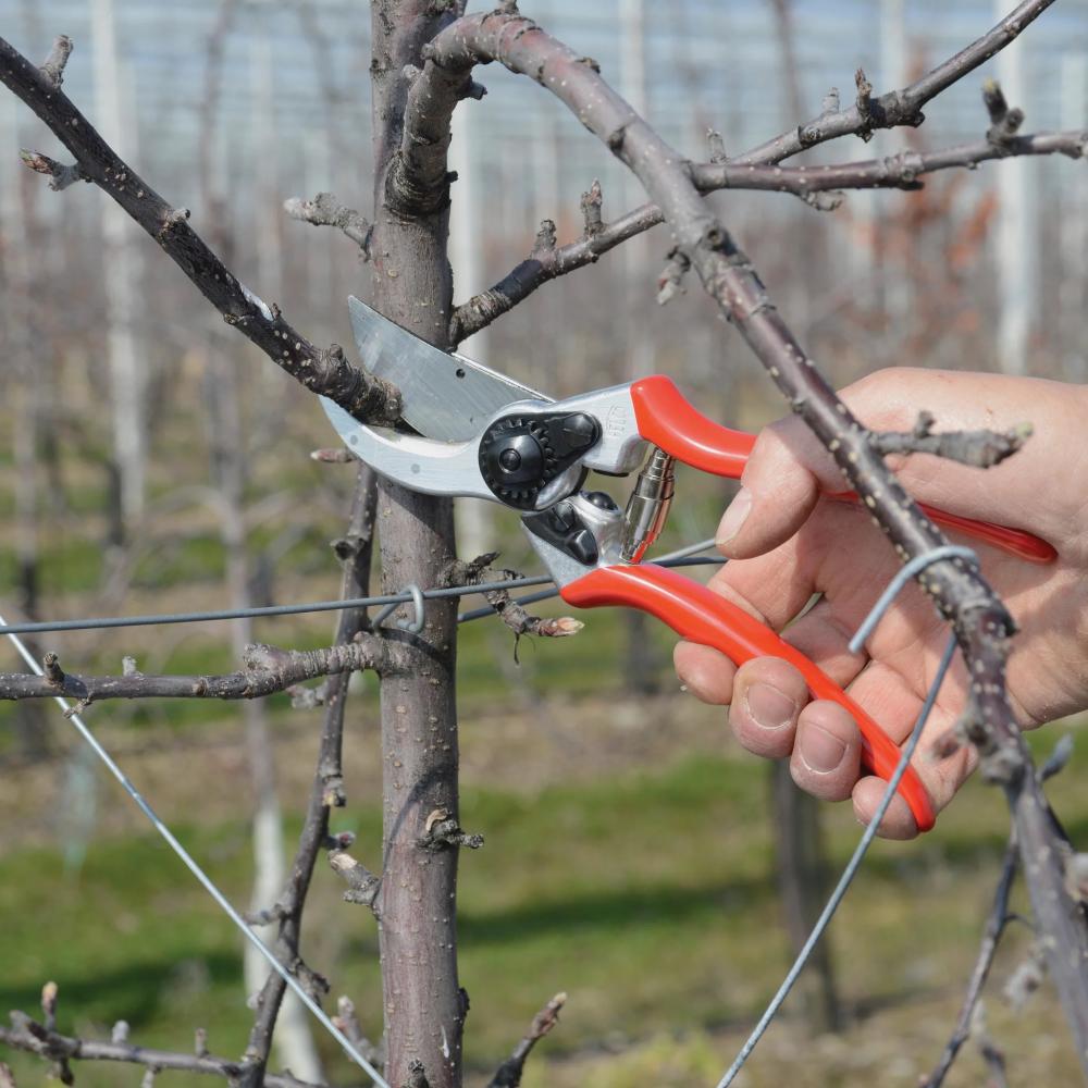 Felco 2 Swiss Manual Pruning Shears