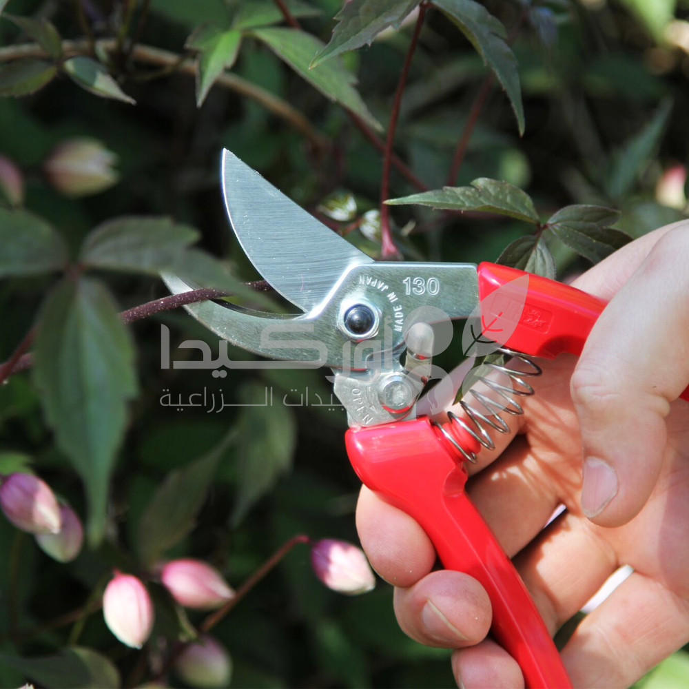 ARS 120EU Manual Pruning Shears, Made in Japan