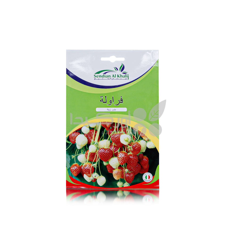 Strawberry seeds 10 g