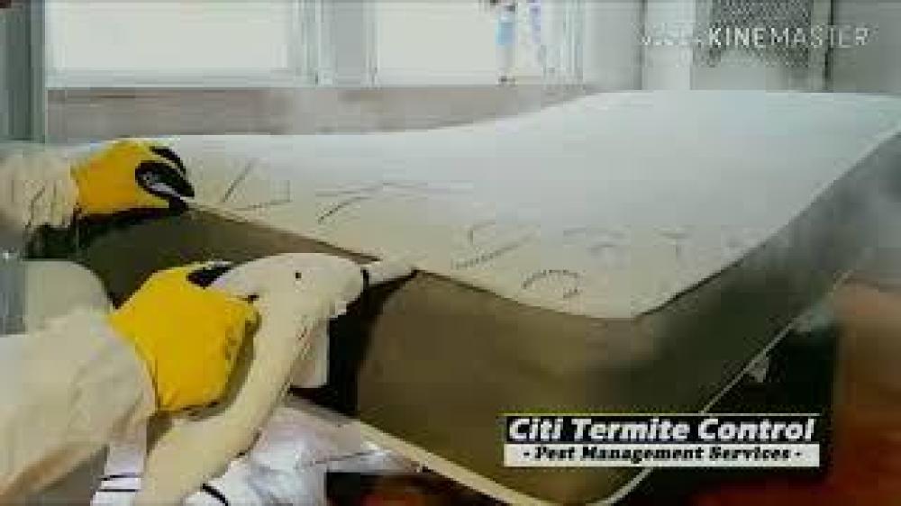 جهاز بخار للتعقيم ومكافحة بق الفراش احترافي POLTI الإيطالي سعة 3 لتر موديل Express
