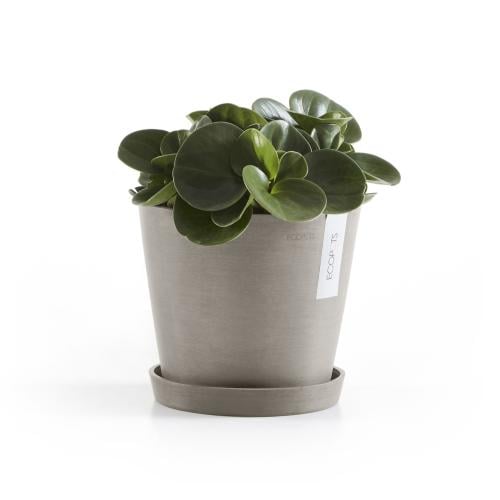 مركن ايكو بوت فايبر امستردام موديل ECOPOTS 20*17 -...