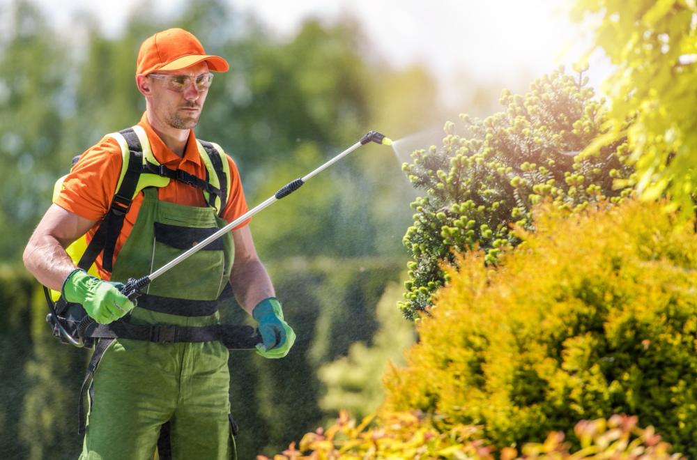Types of Agricultural Sprayers: Manual, Electric, Petrol and Pumps, and Which One Fits Your Farm