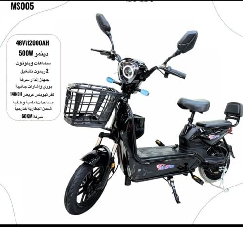 E bike