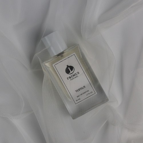 TERTIUS - ترتيوس
