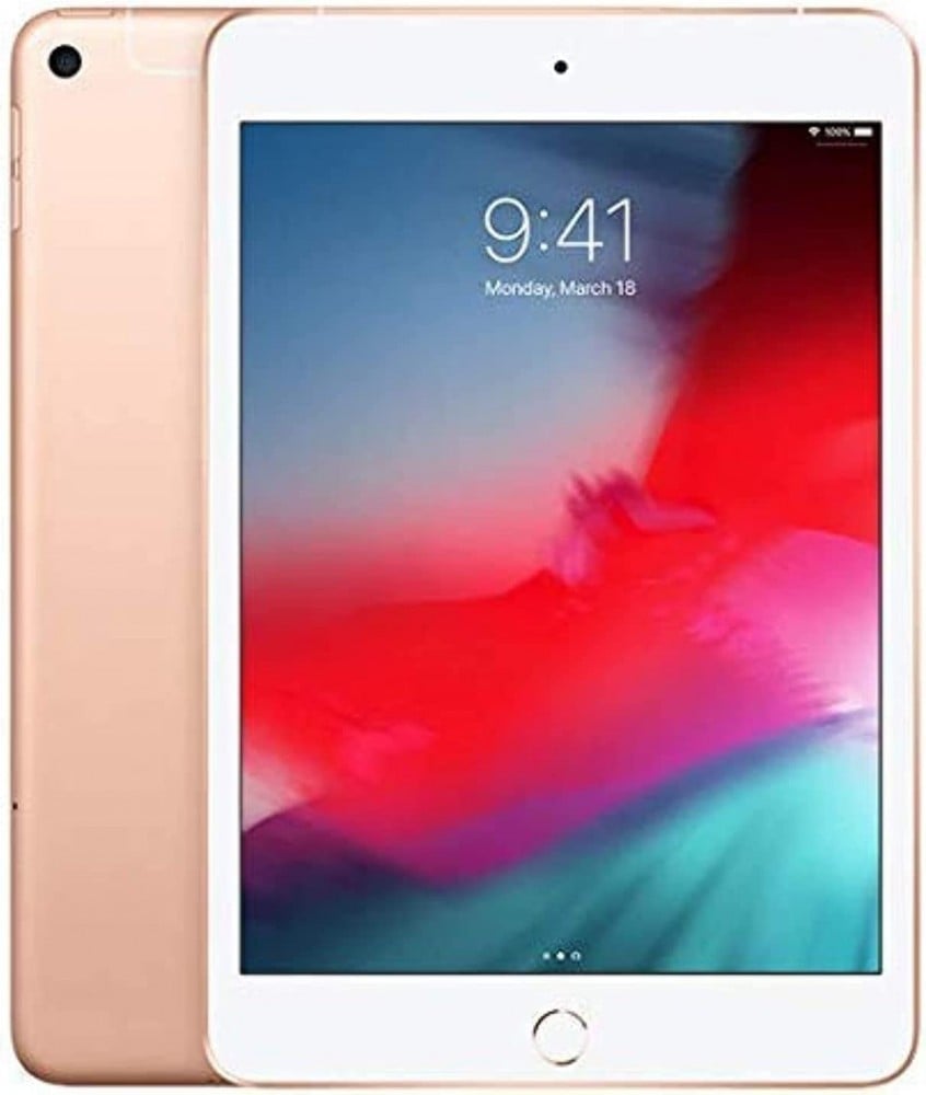 Apple iPad mini 2019 Model (7.9-inch, Wi-Fi, 256GB) - Space Gray (5th  Generation) MUU32AB/A - البطاقة الفضية