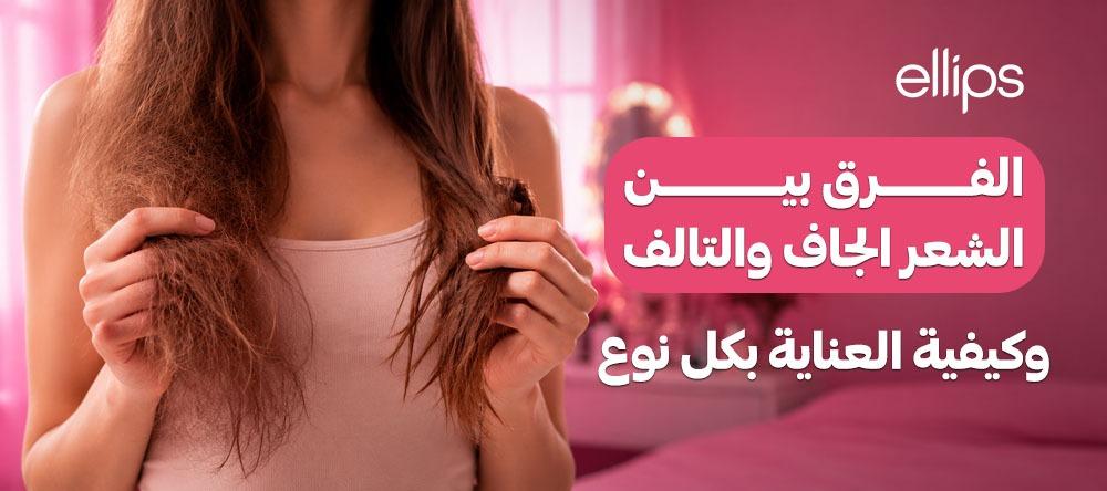 الفرق بين الشعر الجاف والتالف