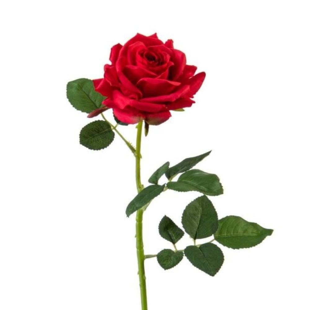 حكاية عطر متجر روائح الجمال