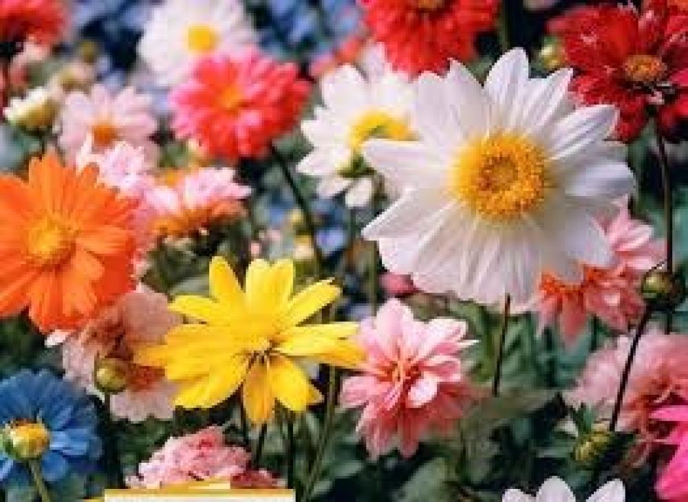 نوتات العطر  متجر روائح الجمال beautys4u