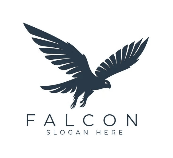فالكون Fly Falcon