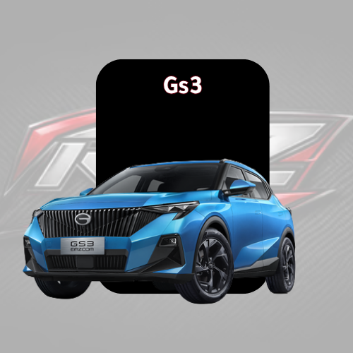 Gs3