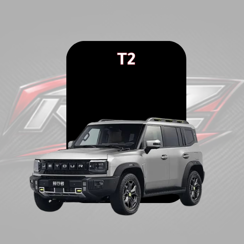 T2