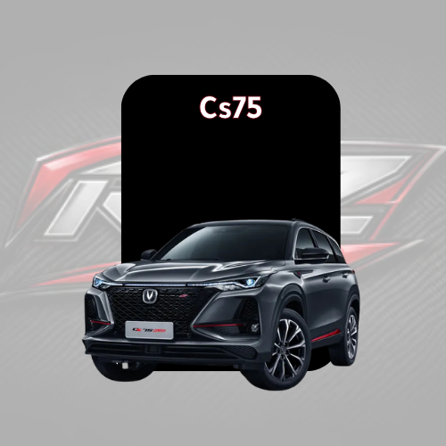 Cs75