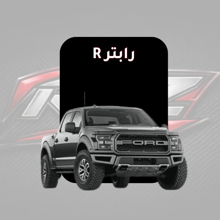 رابتر R