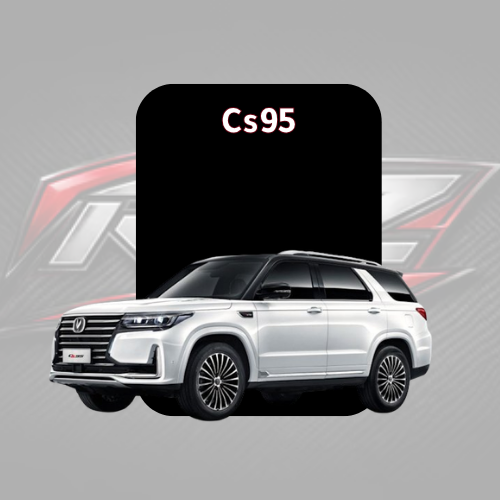 Cs95