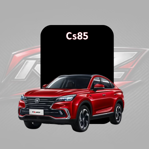 Cs85
