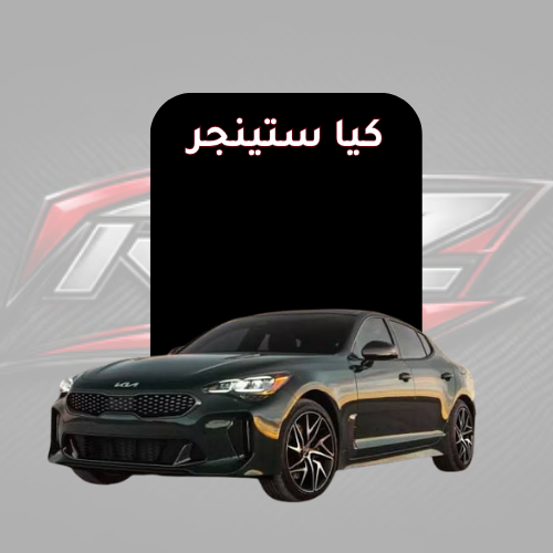 ستينجر