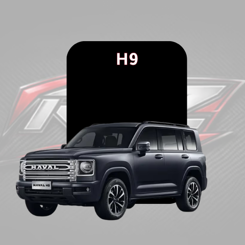 H9