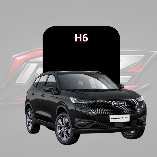 H6