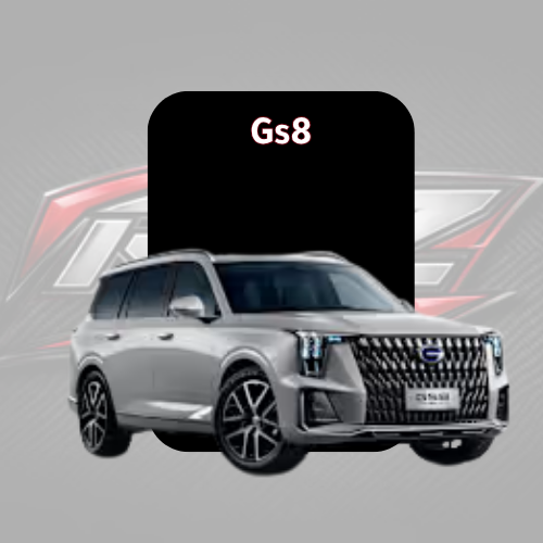 Gs8