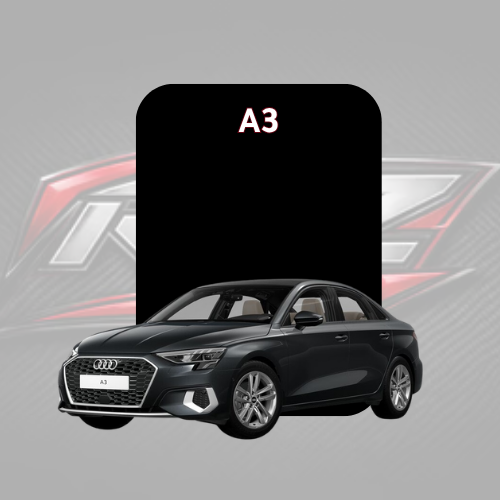 A3