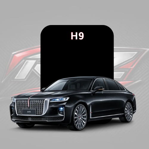 H9