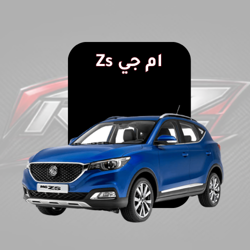 Zs
