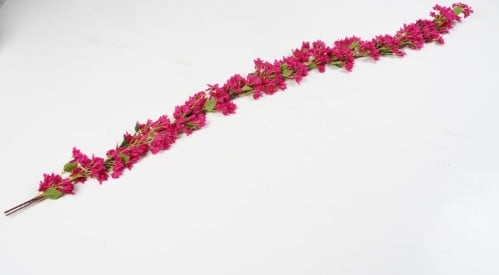 فرع شجرة الجهنمية