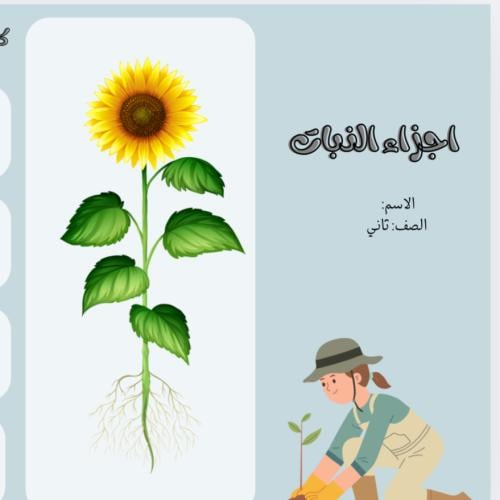 اجزاء النبات ثاني